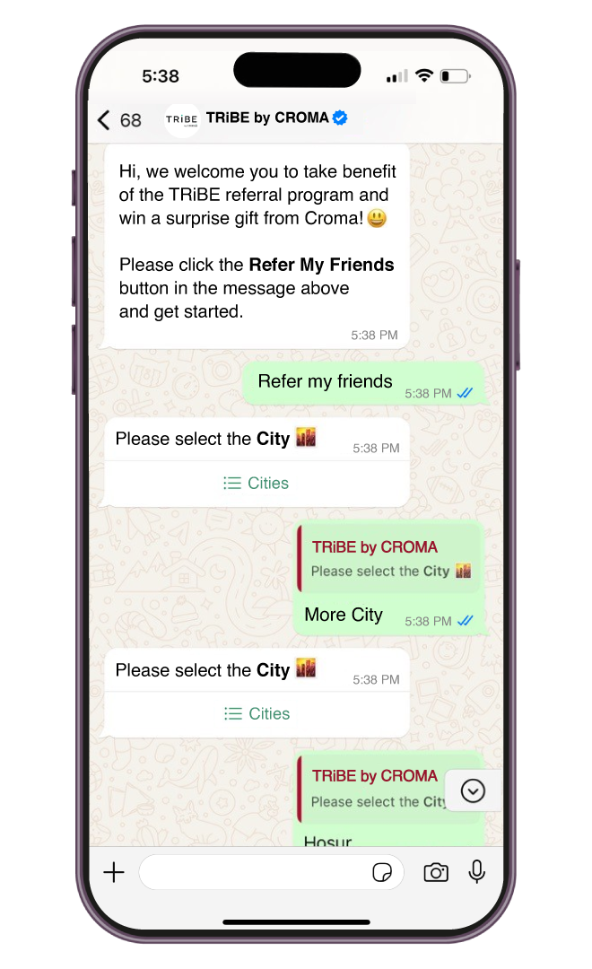 Croma Case Study Tribe Chatbot1